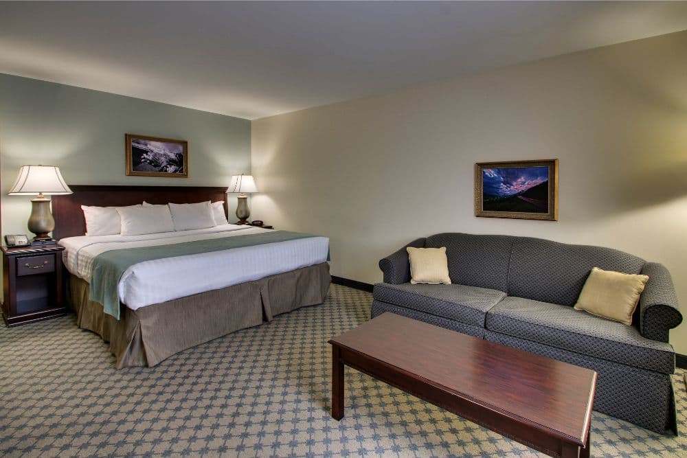 King Sleeper Sofa Room